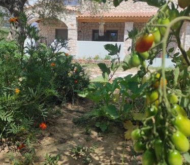 Lithakia Apartment | Black Pearl Apartment Lithakia Zakynthos