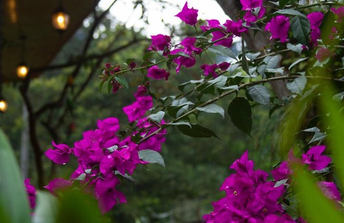 San Francisco Ski Chalet | Blanca María