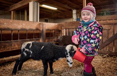 Racines Apartment | Blasigsuite Blasighof