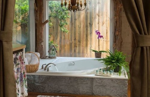 Cat Spring Bed & Breakfast | BlissWood B&B Ranch