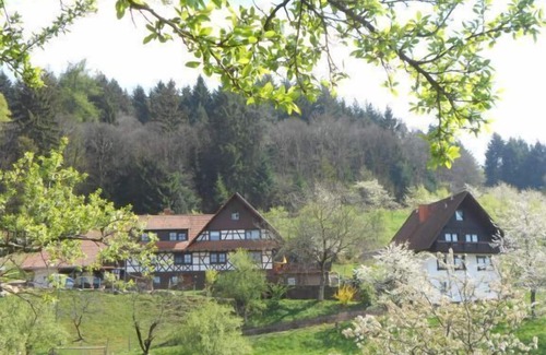 Busterbach Apartment | Blockhütte für max. 4 Personen