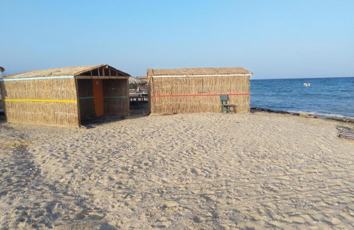 Wasit Other | Blue Beach Camp Nuweiba