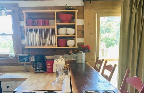 Cana Cabin | Blue Ridge Mtn Log Cabin 4 bedroom + Treehouse Bird Watchers