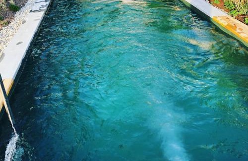 Ludwigshafen Apartment | Bodensee-Apartment SeeSucht No 86