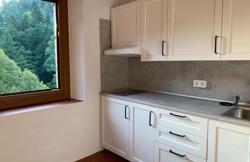 Ribes De Freser Apartment | Bonavista - Els Apartaments del Bosc