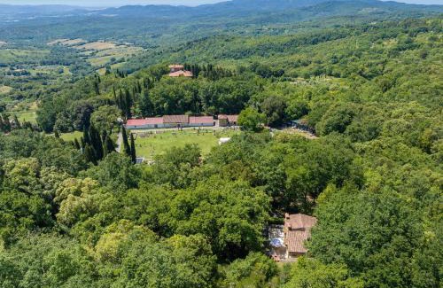 Monteverdi Marittimo Apartment | Borgo Le Querciolaie