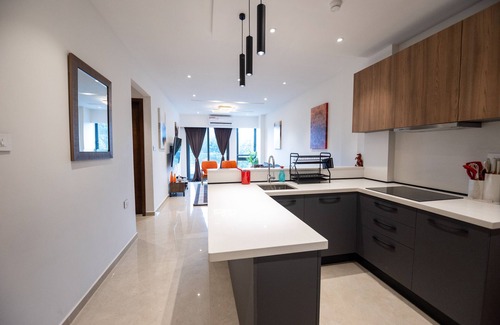 North Ridge Apartment | Brand New Executive Suite - Osu