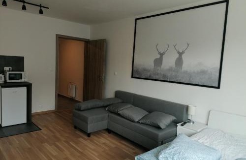 Palmovka Apartment | Brand new studio apartment #62 with free secure parking in the center