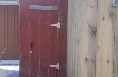 Erin House | Bright and Cozy Tiny Pine House