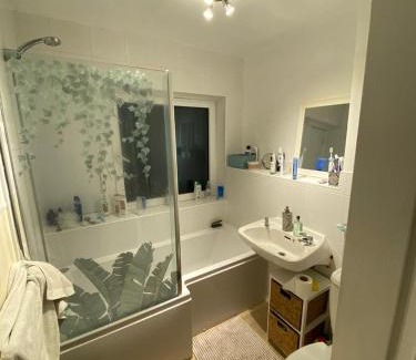 Blackheath House | Bright Apartment near Lewisham Station
