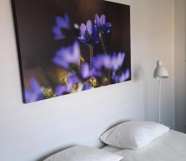 Lidkoping Bed & Breakfast | Broholm Bed&Breakfast
