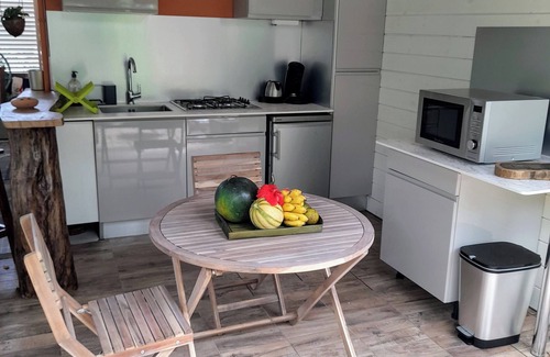 Sainte-Marie Apartment | Bromeliads at Djo and Rosy's