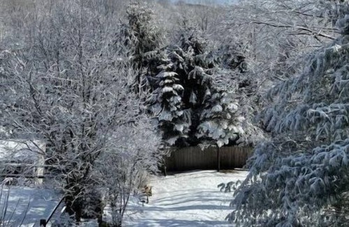 Briarcliff Manor Apartment | Brookside Briarcliff Guest Suite