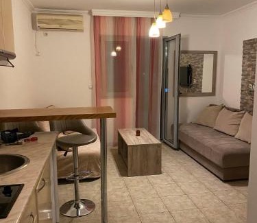 Rozino Apartment | Budva
