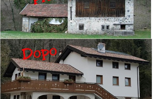 Cercivento House | Buine Tiere