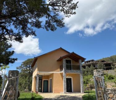 Elbasan Villa | Bujtina Halili Gjinar