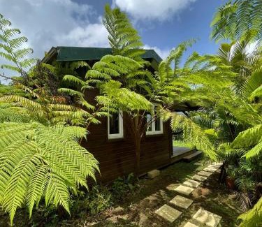 Le Morne-Rouge Ski Chalet | Bungalow à flanc de montagne