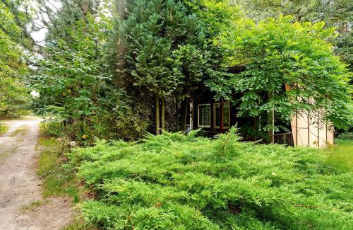 Waldhufen Resort | Bungalow 24 - Kimbucht