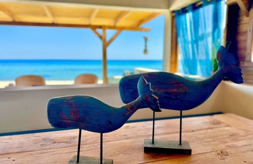 Ghisonaccia Villa | Bungalow 59 - Mini Villa on the beach "feet in the water