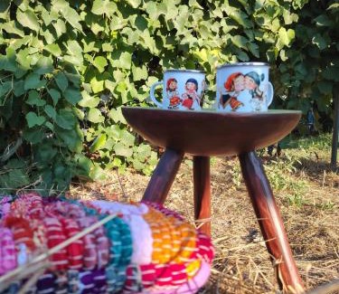 Murighiol House | Căsuța de chirpici