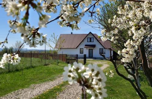 Grumazesti House | Căsuța din Deal