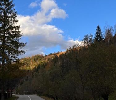 Brosteni House | Căsuța Piticilor