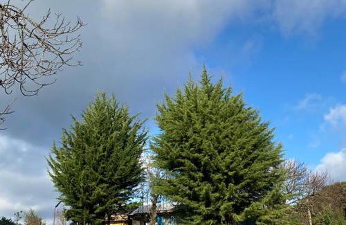 Los Angeles Cabin | Cabaña con Tinaja Las Trancas