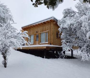 Lanin National Park Ski Chalet | Cabaña en la montaña: La Cascada