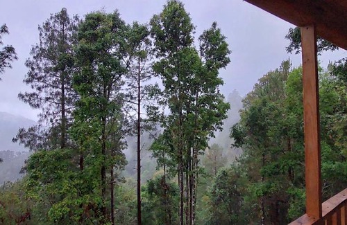 San Jose del Pacifico Ski Chalet | Cabaña en el Bosque de San José del Pacífico