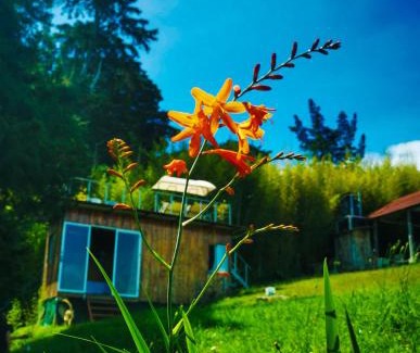 Concepcion Ski Chalet | Cabaña Mountain View