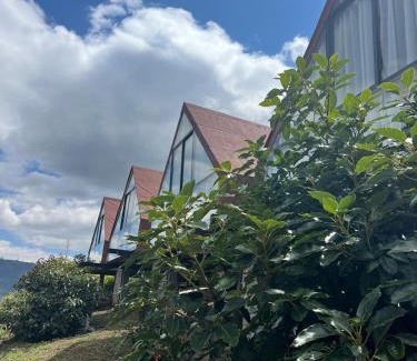 Patate Other | Cabañas ALPINA PATATE