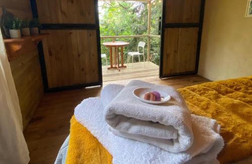 San Francisco House | Cabañas La Cima