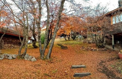 Villa Pehuenia House | Cabañas & Lofts Las Terrazas