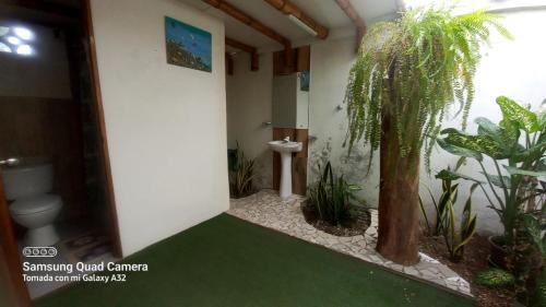 Pedernales Apartment | Cabañas Riviera Pacific