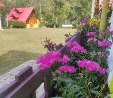 El Rosal Other | Cabañas San miguel Cachipay - Colombia