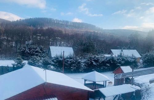 Baile Chirui House | Cabana Baile Chirui Ciubar