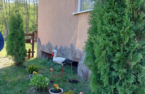 Meresti House | Cabana Imola