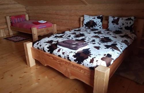 Vatra Dornei House | Cabana vultur2 strada popeni