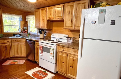Mendota House | Cabin in Disguise Family Base: Firepit, Stargazing BBQ, Hiking Bluegrass Music!