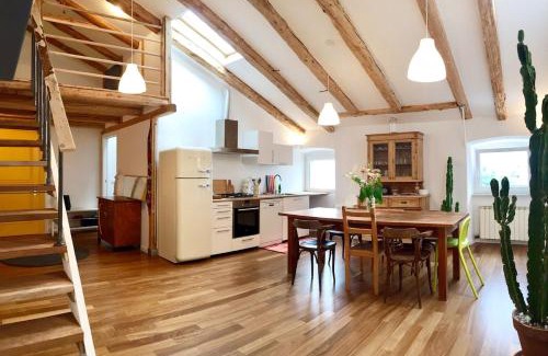 Barriera Vecchia-San Giacomo Apartment | Cacatsu