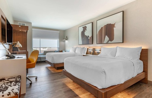 Richardson Hotel | Cambria Hotel Richardson - Dallas