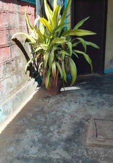 Moshi Hotel | Camp Deo Hotel