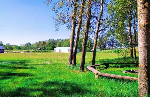 Natac Wielka Other | Camping Bartbo