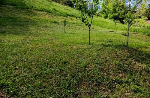 Vata de Jos Other | Camping Ciungani