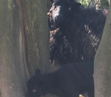 Audinghen House | camping de warincthun