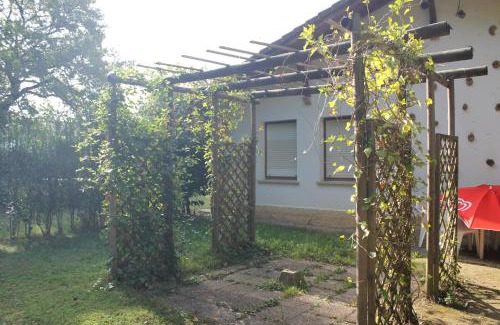 Etxarri-Aranatz Other | CAMPING ETXARRI