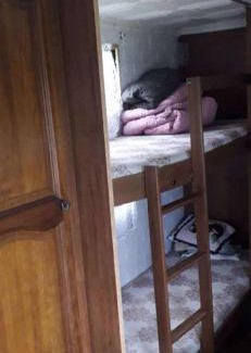 Pleshinë Other | Camping Kosovo Treehouse campground of anykind
