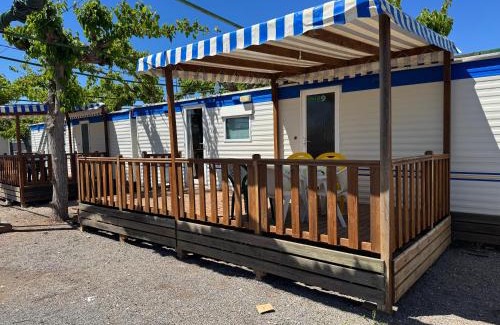 Moncofar Other | Camping Los Naranjos