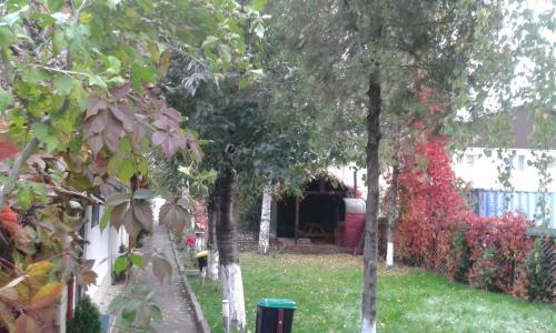 Onesti Resort | Camping Paradisul Soferilor