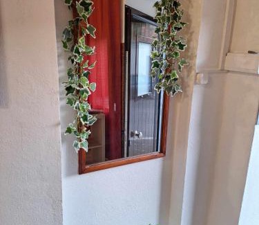 Avis Apartment | Cantinho da Casa